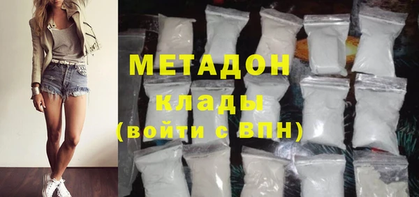 трава Няндома