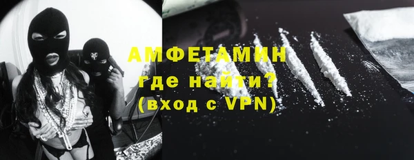 трава Няндома