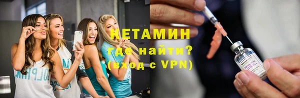 трава Няндома