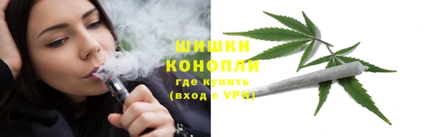 трава Няндома