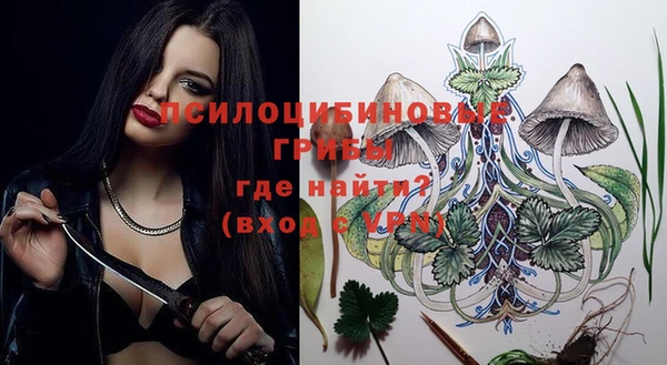 первитин Нягань