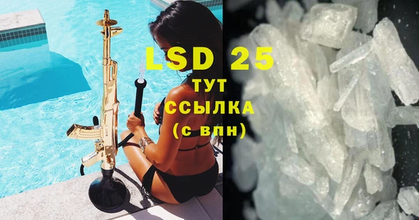 трава Няндома