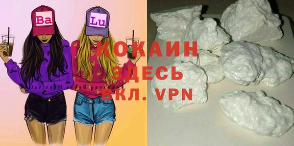 трава Няндома