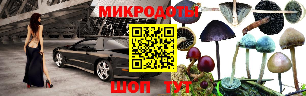 Псилоцибиновые грибы Psilocybine cubensis  Большой Камень 