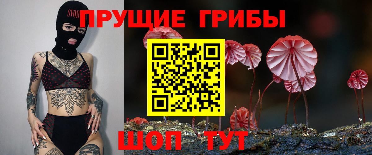 Псилоцибиновые грибы Cubensis  Псилоцибиновые грибы мухоморы  Большой Камень  Вход с VPN 