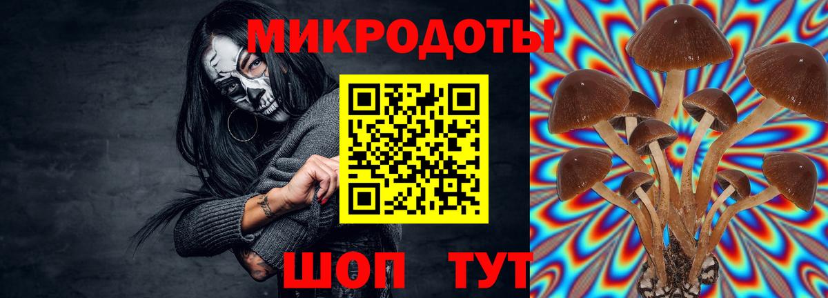 Псилоцибиновые грибы Psilocybine cubensis Большой Камень